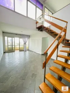 Imóvel Comercial com 4 Quartos para alugar, 185m² no Centro, Ribeirão Preto