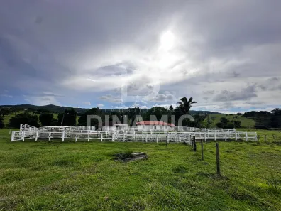 Fazenda/Sítio à venda, 1560m² no , Cromínia