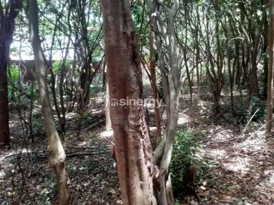 Lote/Terreno à venda, 1715m² no Pipa, Tibau do Sul