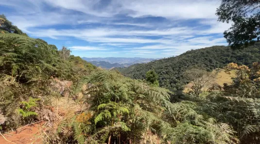 Lote/Terreno à venda, 29200m² no , São Bento do Sapucaí