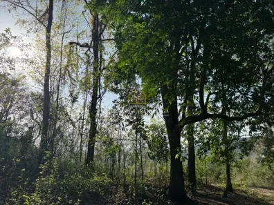 Lote/Terreno à venda, 26300m² no , Guaramiranga