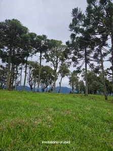 Fazenda/Sítio à venda, 20000m² no Santa Teresinha, Urubici