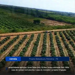 Lote/Terreno à venda, 125000m² no Área Rural de Petrolina, Petrolina