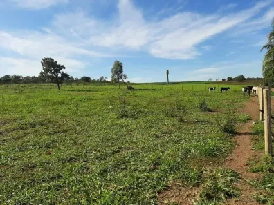 Fazenda/Sítio com 4 Quartos à venda, 140000m² no Área Rural de Cuiabá, Cuiabá