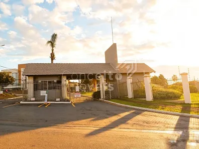 Casa de Condomínio com 3 Quartos à venda, 261m² no Colônia Dona Luíza, Ponta Grossa
