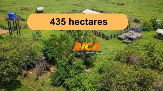 Fazenda/Sítio à venda, 4350000m² no Área Rural de Porto Velho, Porto Velho