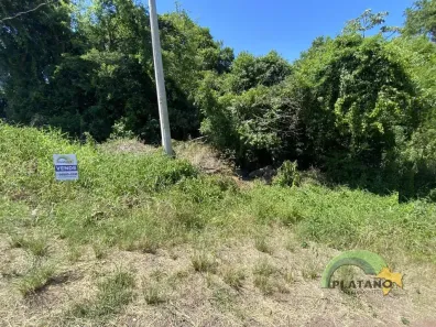 Lote/Terreno à venda, 966m² no Cidade Nova, Ivoti
