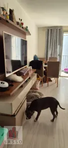 Apartamento com 3 Quartos à venda, 62m² no Parque São Jorge, São Paulo