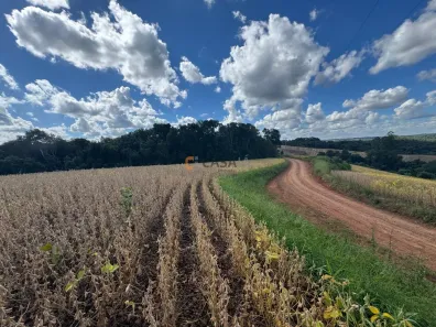 Fazenda/Sítio com 1 Quarto à venda, 10m² no Colônia Balbino Cunha, Campo Largo