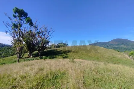 Lote/Terreno à venda, 26000m² no Rodeio 12, Rodeio