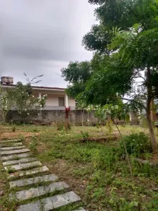 Fazenda/Sítio com 4 Quartos à venda, 35000m² no , Salgado