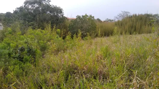 Lote/Terreno à venda, 1230m² no Praia Rasa, Armação dos Búzios