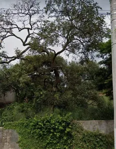 Lote/Terreno à venda, 360m² no Novo Santos Dumont, Lagoa Santa