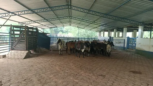 Fazenda/Sítio com 3 Quartos à venda, 300m² no Bairro da Pernambucana, São José dos Campos