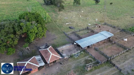Fazenda/Sítio com 3 Quartos à venda, 90m² no Setor Central, Diorama