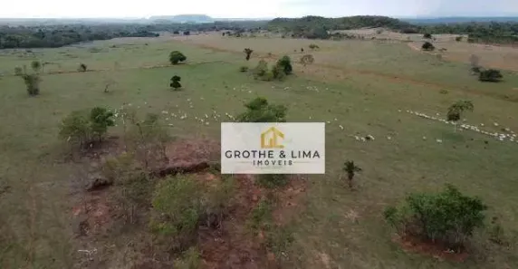 Fazenda/Sítio com 7 Quartos à venda, 900m² no Zona Rural, Nobres