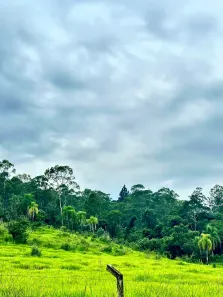 Lote/Terreno à venda, 1000m² no Estacao de Moreiras, Mairinque
