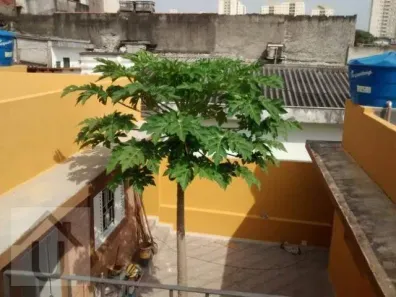 Casa com 8 Quartos à venda, 203m² no Rio Pequeno, São Paulo