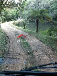Fazenda/Sítio com 1 Quarto à venda, 35110m² no Roça Velha, São José dos Pinhais