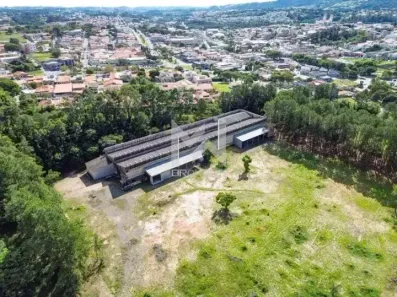 Galpão/Depósito/Armazém para alugar, 2500m² no Nova Vinhedo, Vinhedo
