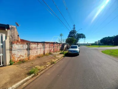 Lote/Terreno para alugar, 328m² no Jardim Califórnia, Marília