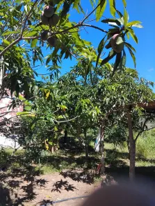 Fazenda/Sítio com 8 Quartos à venda, 130000m² no Área Rural de Gravatá, Gravatá
