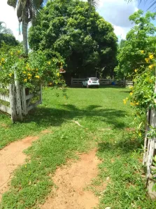 Fazenda/Sítio à venda, 300000m² no , Rochedo