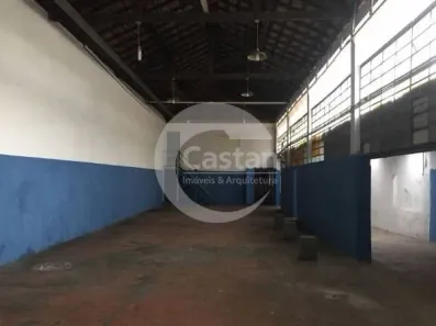 Galpão/Depósito/Armazém com 1 Quarto à venda, 500m² no Vila Bertioga, São Paulo