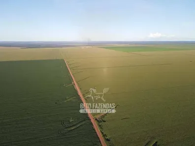 Fazenda/Sítio à venda, 230000000m² no , Carolina