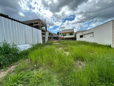 Lote/Terreno à venda, 370m² no Colônia Terra Nova, Manaus