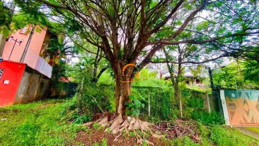 Lote/Terreno à venda, 390m² no Jardim Paulista, Atibaia