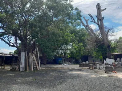 Fazenda/Sítio com 2 Quartos à venda, 5000m² no Recreio das Acácias, Ribeirão Preto