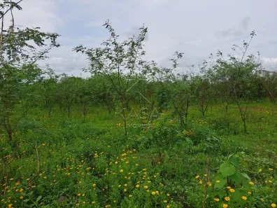 Imóvel Comercial à venda, 33238m² no Mato Grande, Canoas