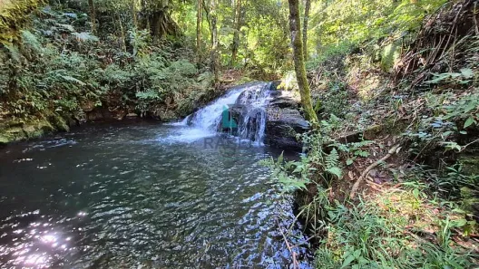 à venda, 27m² no , Cunha