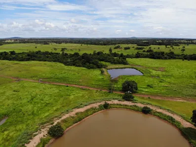 Fazenda/Sítio com 5 Quartos à venda, 337m² no , Porangatu