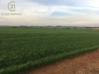 à venda, 302500m² no Centro, Marilândia do Sul