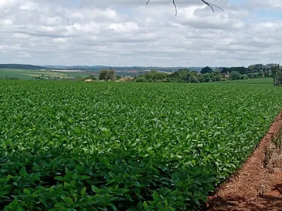Fazenda/Sítio com 1 Quarto à venda, 314600m² no , Angatuba