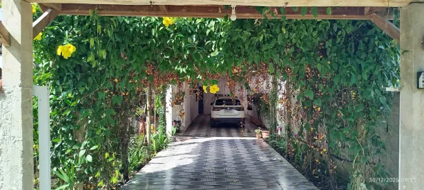 Fazenda/Sítio com 2 Quartos à venda, 1800m² no Vila Santo Antonio, Morretes