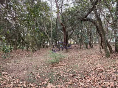 Lote/Terreno à venda, 1575m² no Vila de São Fernando, Cotia