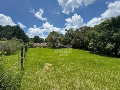 Fazenda/Sítio à venda, 1000m² no Planta Laranjeiras, Piraquara
