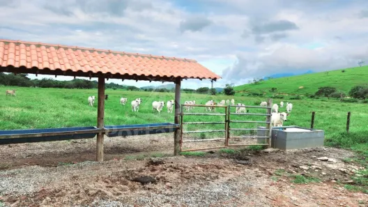 Fazenda/Sítio com 3 Quartos à venda, 169400m² no Centro, Casimiro de Abreu