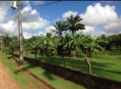 Fazenda/Sítio com 4 Quartos à venda, 10000000m² no Catu de Abrantes (Abrantes), Camaçari