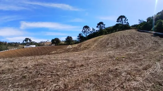 Lote/Terreno à venda, 20000m² no , Gonçalves