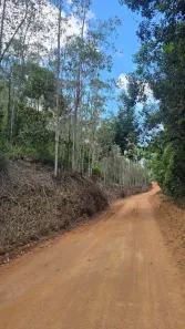 Fazenda/Sítio à venda, 20000m² no , Santa Teresa