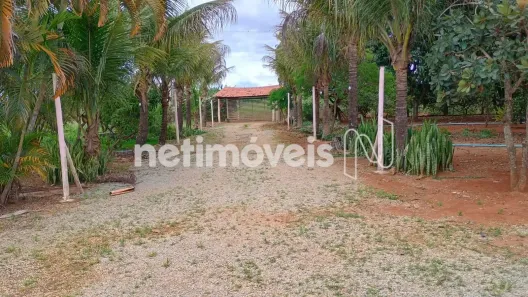 Fazenda/Sítio com 3 Quartos à venda, 45000m² no Setor Sul, Brasília