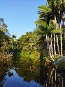 Fazenda/Sítio à venda, 484000m² no São Francisco do Sul, São Francisco do Sul