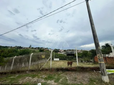 Lote/Terreno para alugar, 2900m² no Betel, Marília