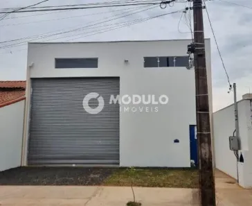 Galpão/Depósito/Armazém para alugar, 250m² no Segismundo Pereira, Uberlândia