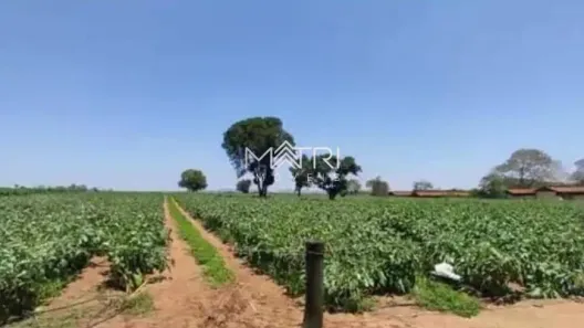 Fazenda/Sítio com 4 Quartos à venda, 15257m² no Mombuca, Guatapará