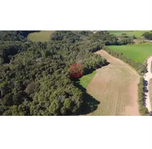 Lote/Terreno à venda, 27022m² no Jardim Florestal, Campo Largo